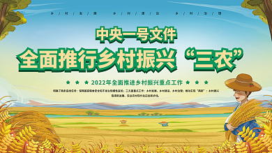 中央一号文件乡村振兴三农工作