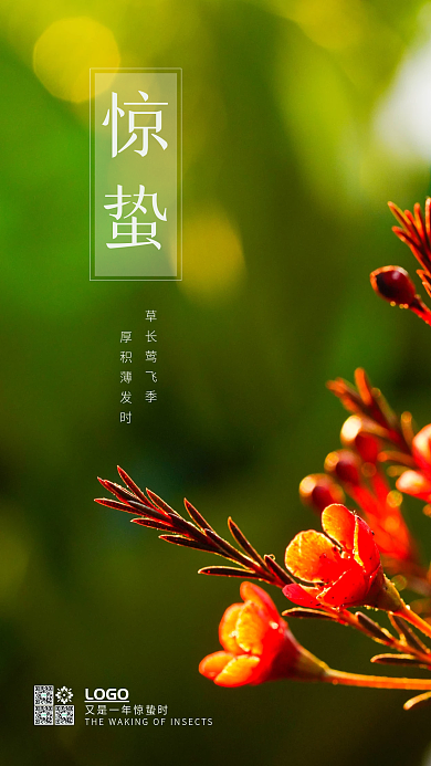惊蛰简约自然二十四节气手机海报
