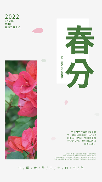 简约传统创意二十四节气春分节气海报