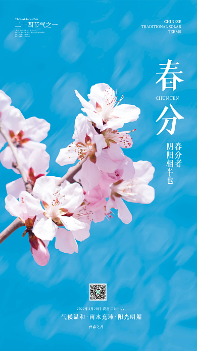 简约春分节气海报
