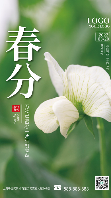 春分节气海报绿色小清新简约风二十四节气