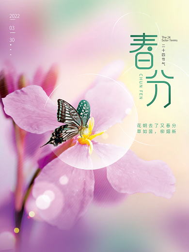 简约创意二十四节气春分节气摄影图海报