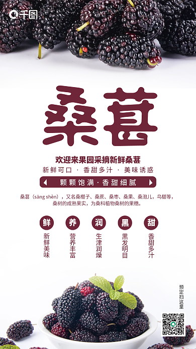 中间排版紫色桑葚销售推广海报