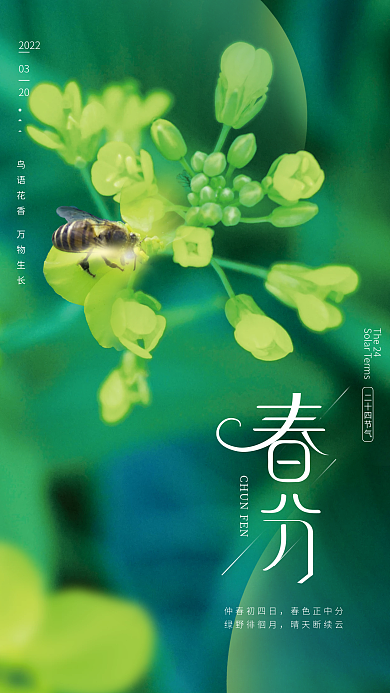 创意小清新二十四节气春分摄影图海报