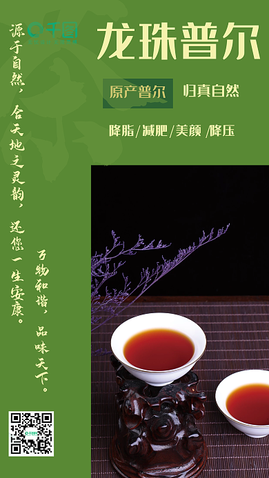 龙珠普洱茶宣传海报