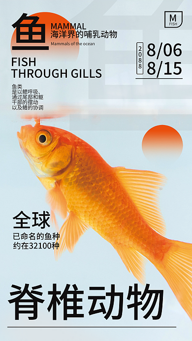 简洁时尚户外公益活动鱼海报