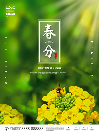 创意春分节气蜜蜂黄色菜花摄影图海报