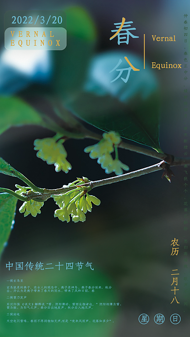 传统24节气春分海报