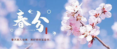 浪漫唯美春天樱花节气春分公众号首图