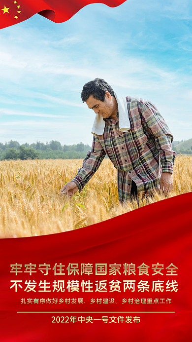 中央一号文件三农工作宣传手机海报