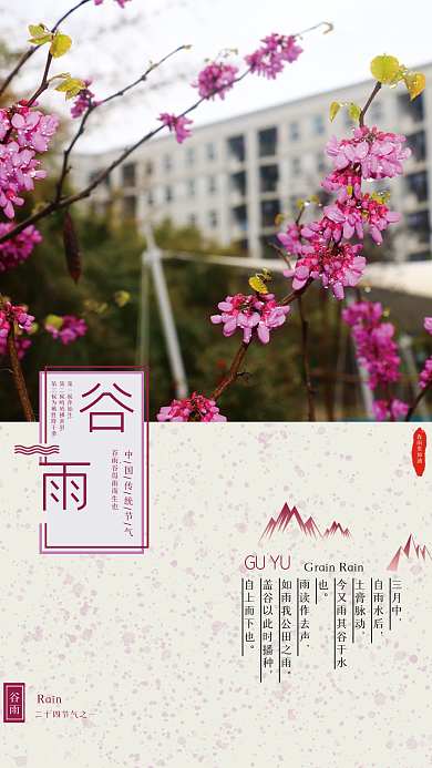 简约二十四节气之谷雨海报