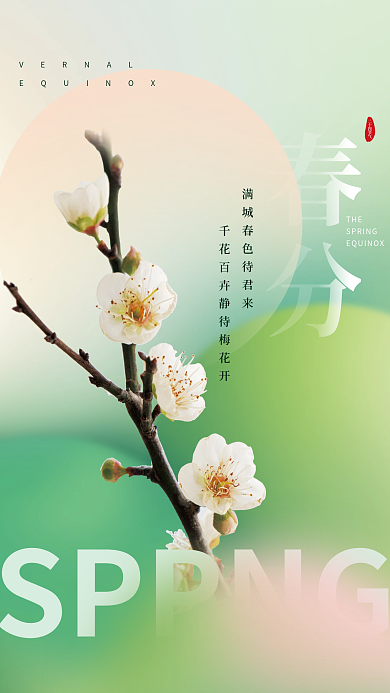简约小清新春分节气摄影图海报
