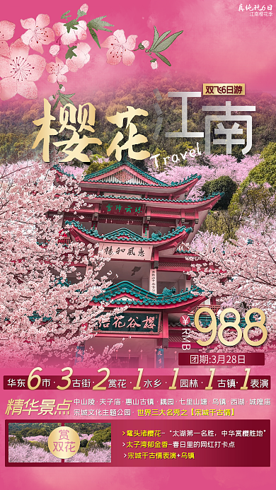 春季春天春游赏花樱花踏青摄影图旅游海报