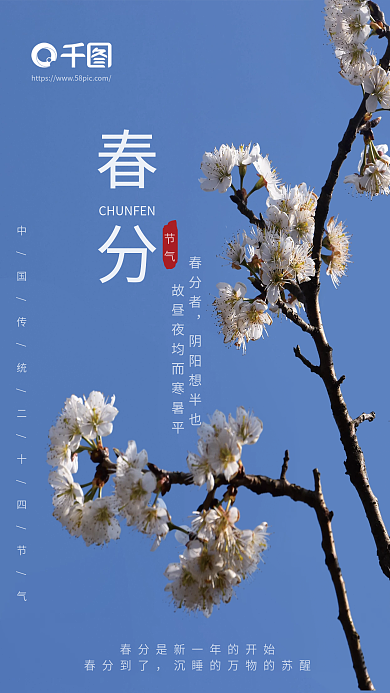 简约传统二十四节气春分春季宣传海报