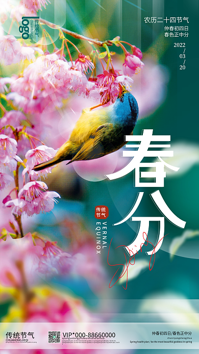 创意春分节气摄影图海报