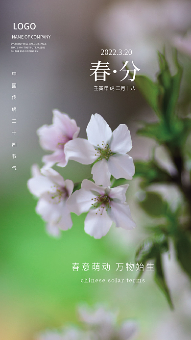 中国传统节日春分海报