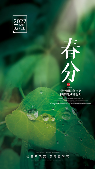 创意春分节气简约摄影图实景海报