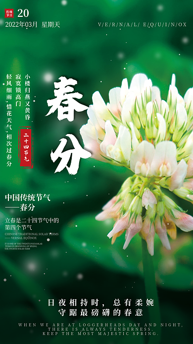 简约小清新春分节气摄影图海报