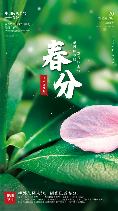 简约春分节气摄影图海报
