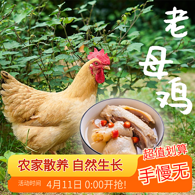 鸡肉促销主图直通车