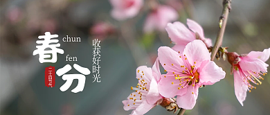 二十四节气文艺浪漫春分桃花公众号图片