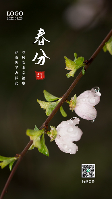 春分花开传统摄影图启动页手机海报