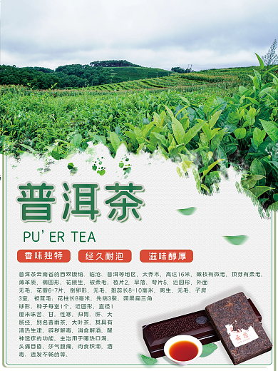 普洱茶春茶绿茶茶叶宣传店铺促销海报