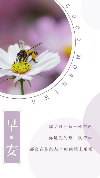 小清新简约花朵蜜蜂励志日签正能量早安海报
