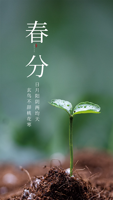 简约传统中国二十四节气春分节气海报