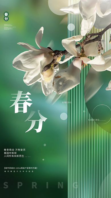 创意小清新意境春分传统节气节日海报