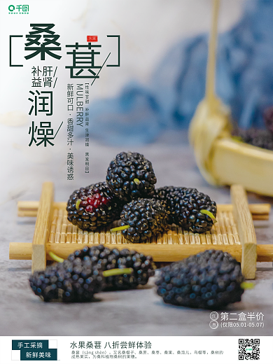桑葚水果销售海报