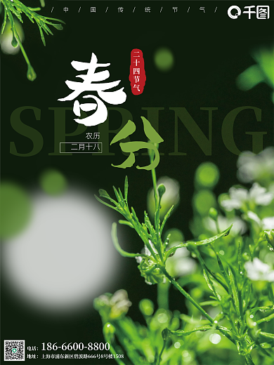 春分24节气植物春天简约海报