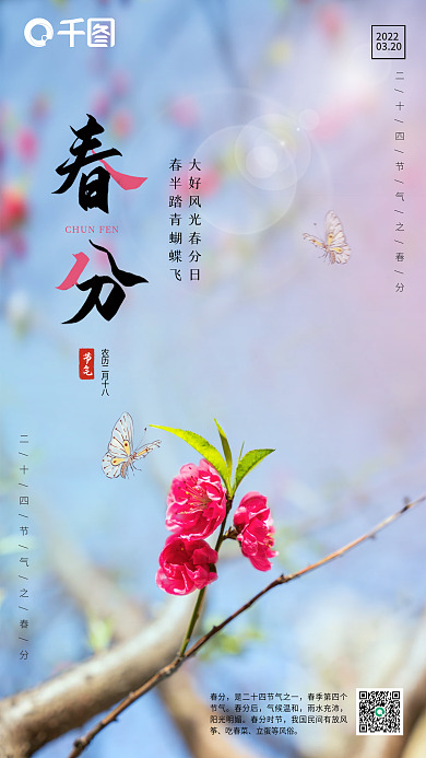 春分二十四节气摄影图简约小清新海报