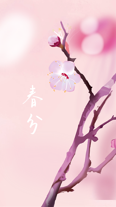 春分桃花盛开背景