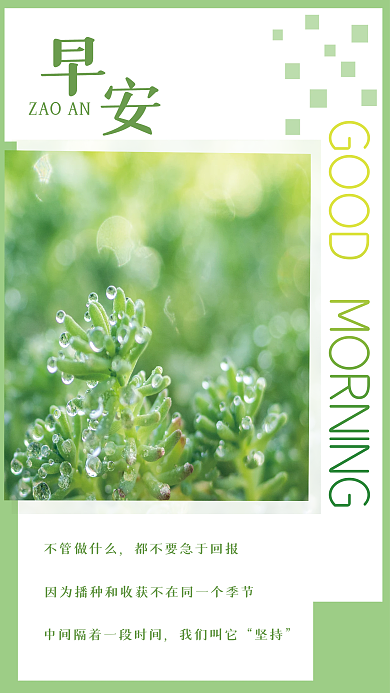 小清新多肉励志日签正能量朋友圈早安海报