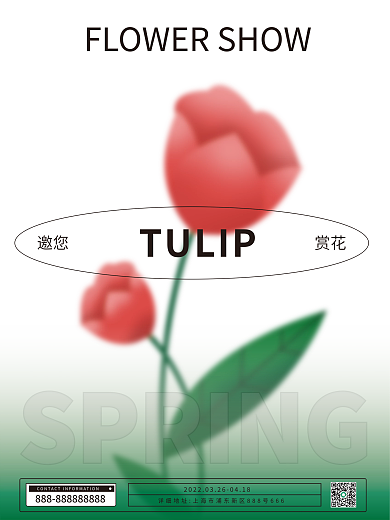 郁金香花展春季春天渐变极简