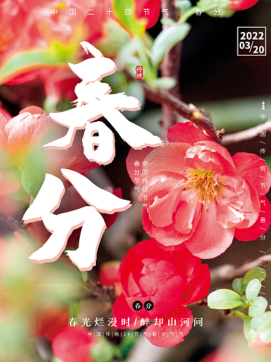 二十四节气春分节气摄影图海报