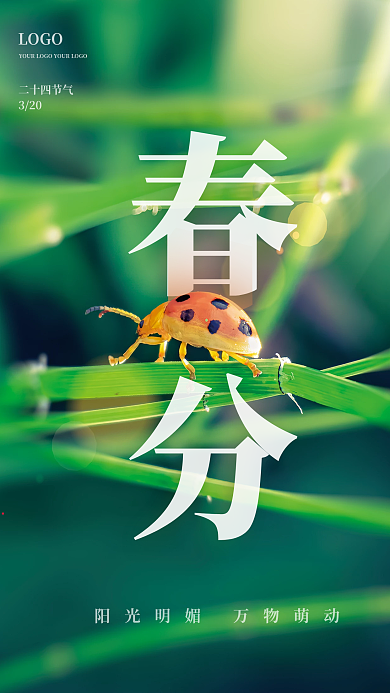 24二十四节气传统绿色清新简约春分海报