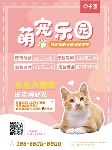 宠物价目表粉色可爱猫狗体检开业促销海报
