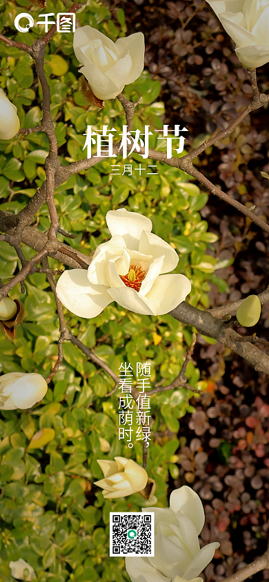 植树节手机配图海报