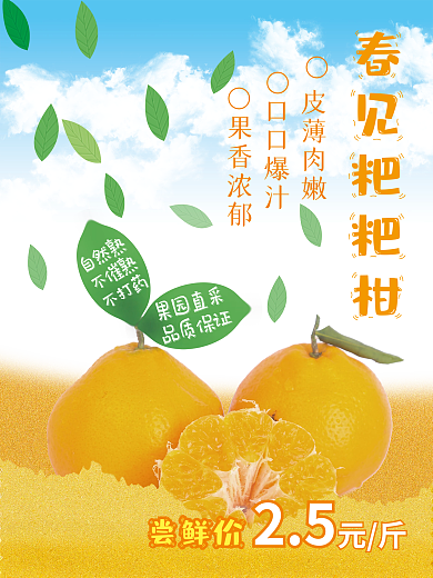 春见粑粑柑促销海报