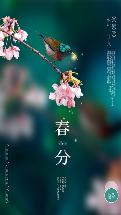 小清新春分节气海报