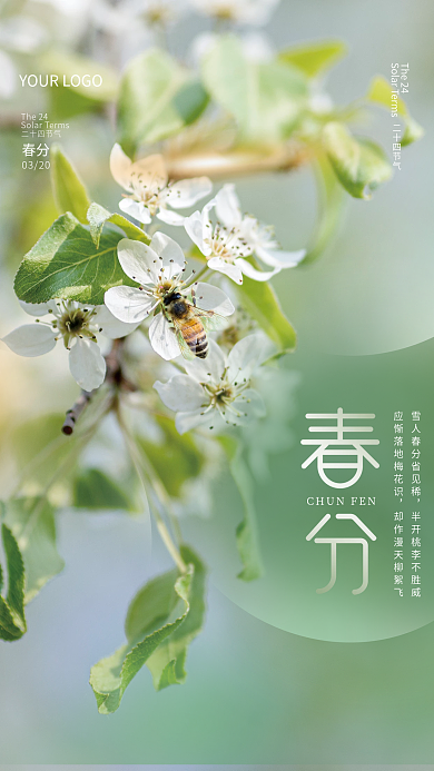 简约清新二十四节气春分海报