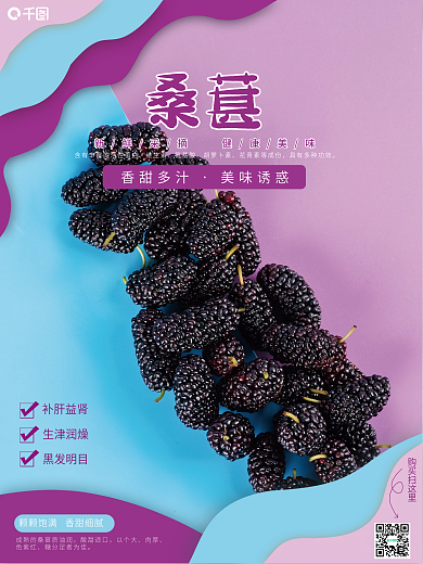 蓝紫色桑葚宣传销售海报