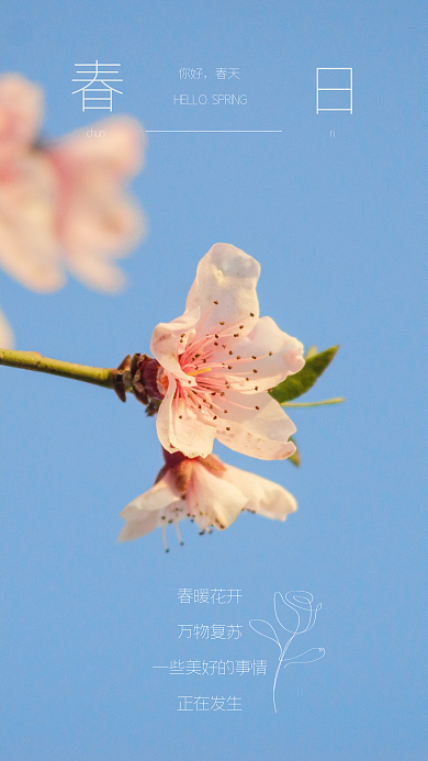 你好春天风景图文日签