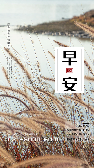 平面新星设计师摄影图海报