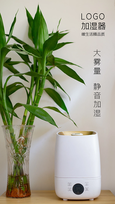 静音加湿器海报图