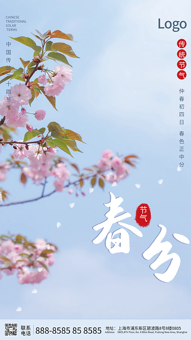 简约二十四节气春分摄影图宣传海报