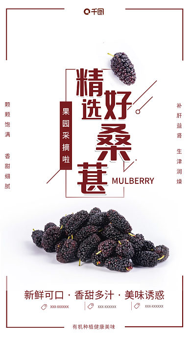 简约桑葚销售海报
