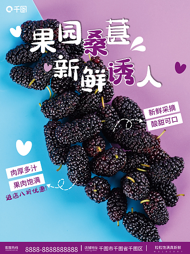 可爱桑葚销售宣传海报
